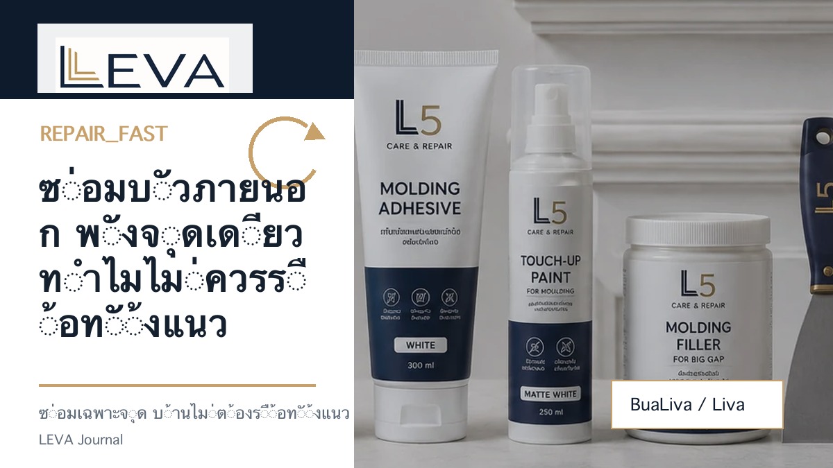 ชุดซ่อมบัวลีวาสำหรับเปลี่ยนท่อนบัวภายนอกเฉพาะจุด